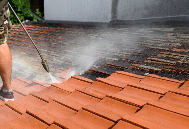 Best Garage Pressure Washing  in Golden Glades, FL